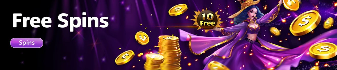 z6 bet