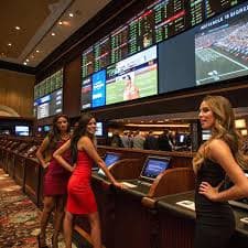 z6 bet